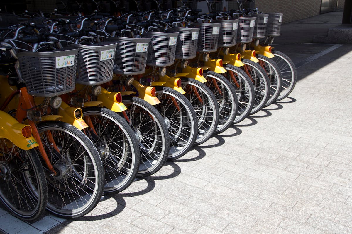 Shared bicycles parked at a bike-sharing station in a Chinese city