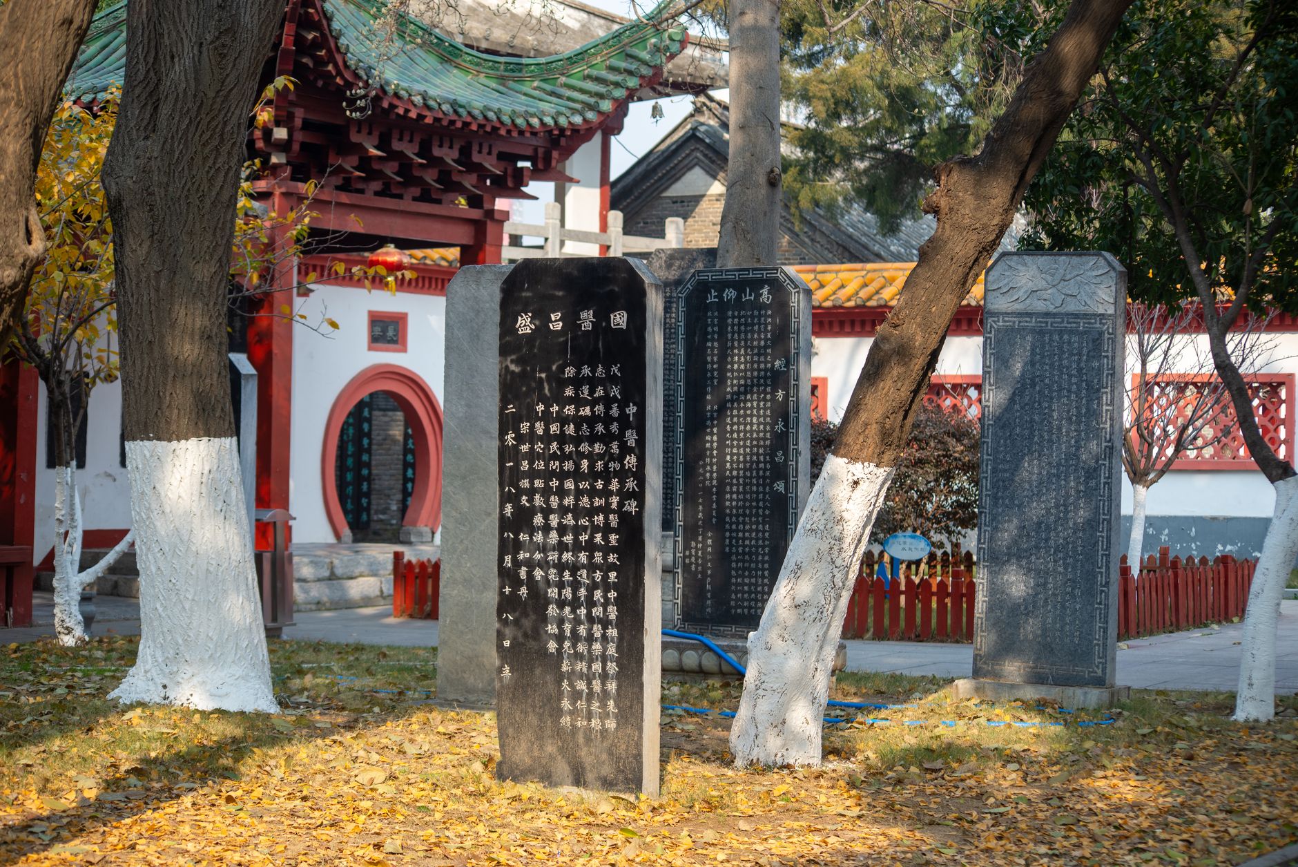 Rows of ancient inscribed stone stelae in a tranquil temple courtyard