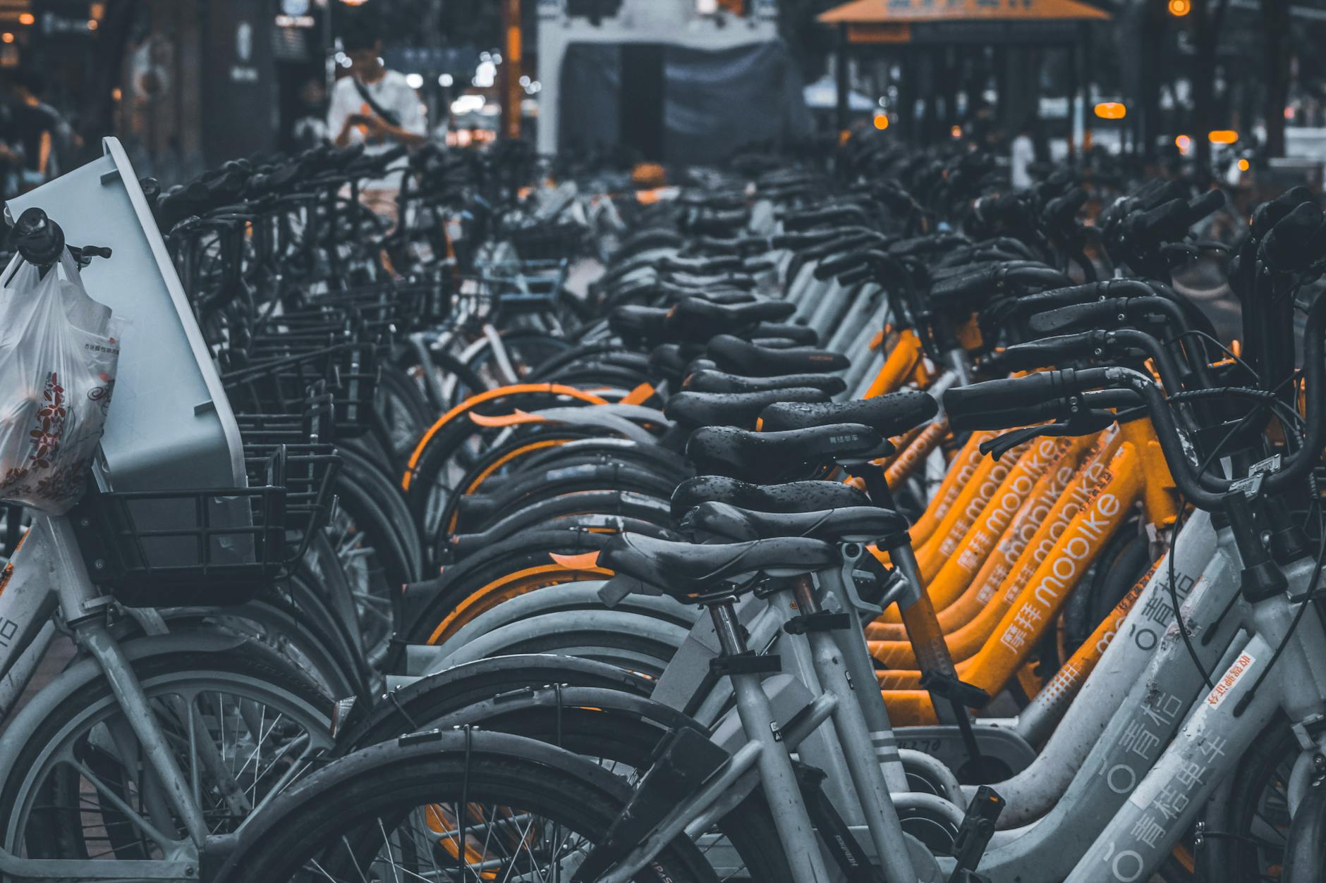 Row of dockless shared bikes lined up in different brand colors at a Beijing parking line