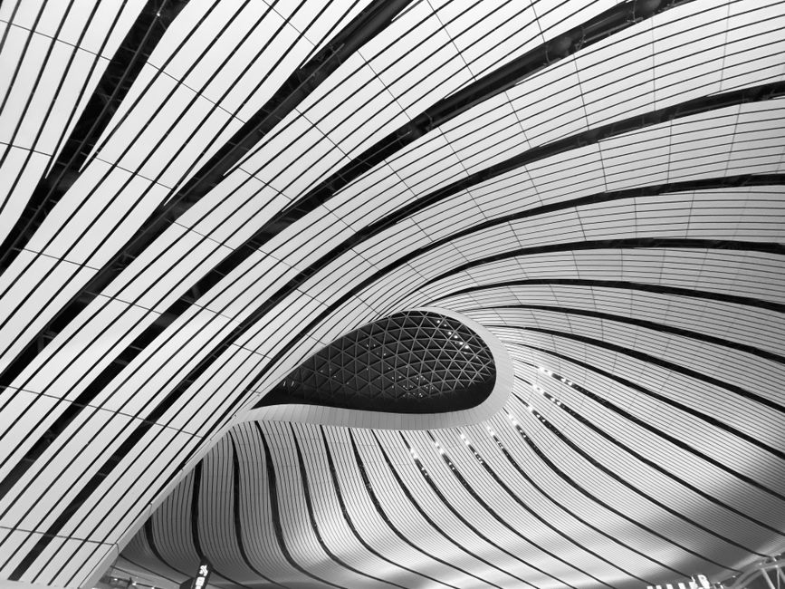 Beijing Daxing Airport curved architecture interior showing the Zaha Hadid design