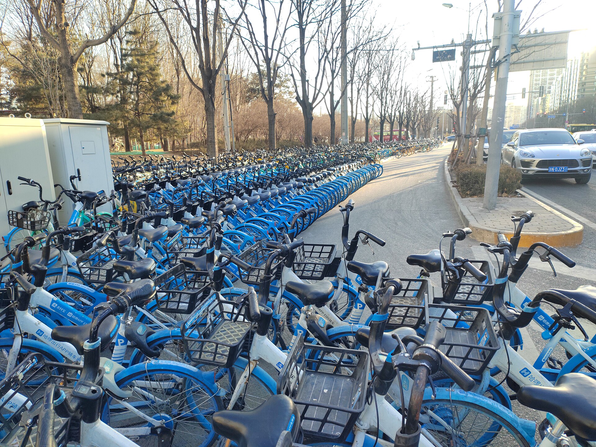 Ranks of blue app-unlocked shared bicycles parked along a Beijing street in winter