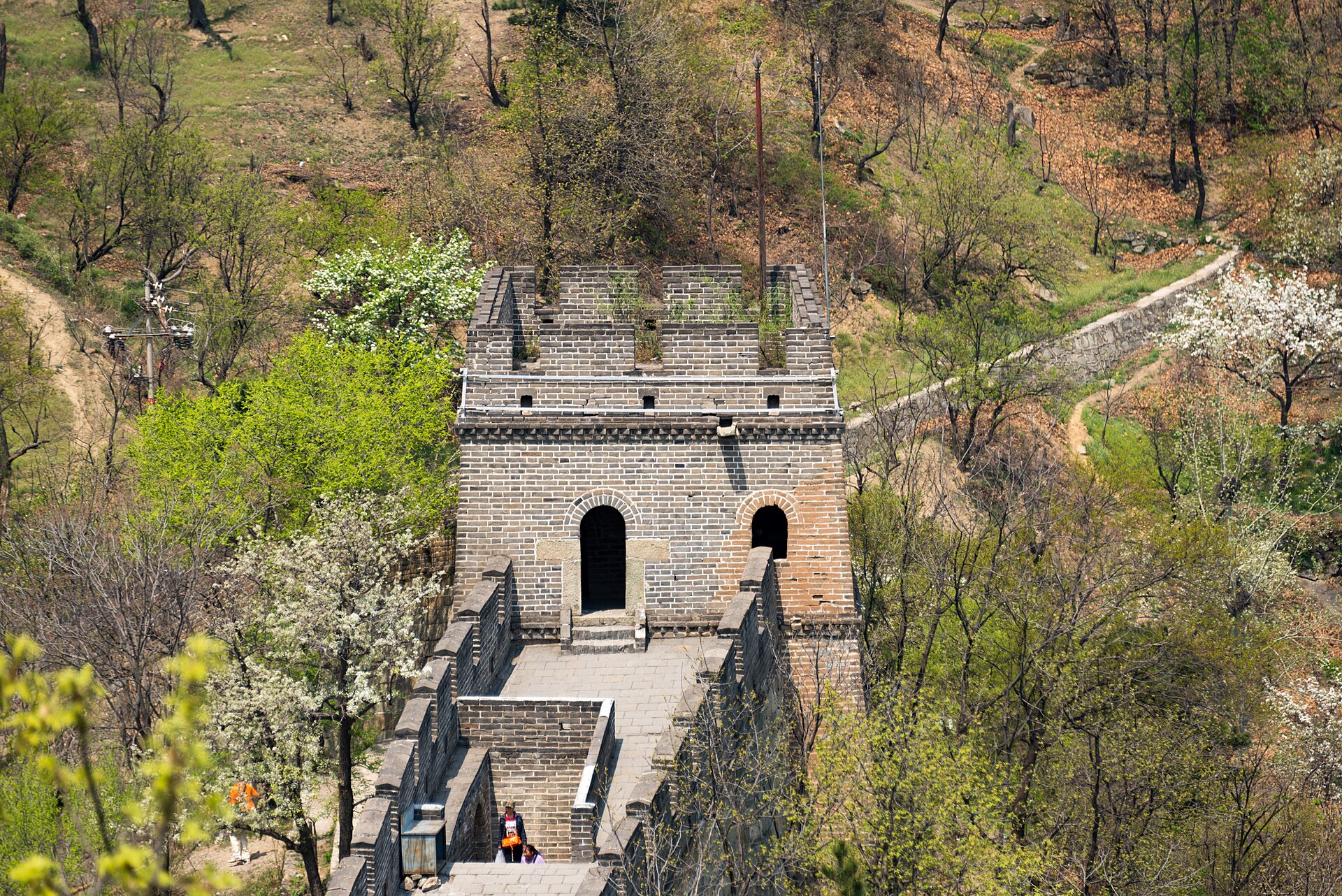 A restored watchtower on the Mutianyu Great Wall surrounded by wooded hillside with blossom in spring