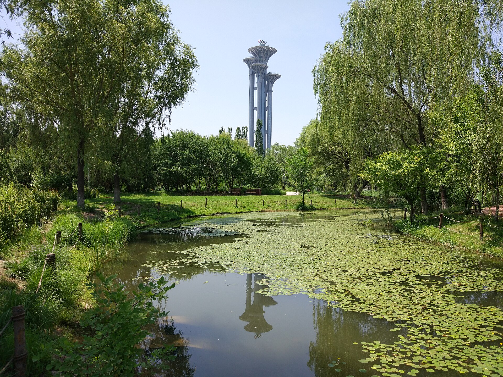 A pond covered in water lilies among willow trees in the Olympic Forest Park, with the Olympic Tower rising in the background