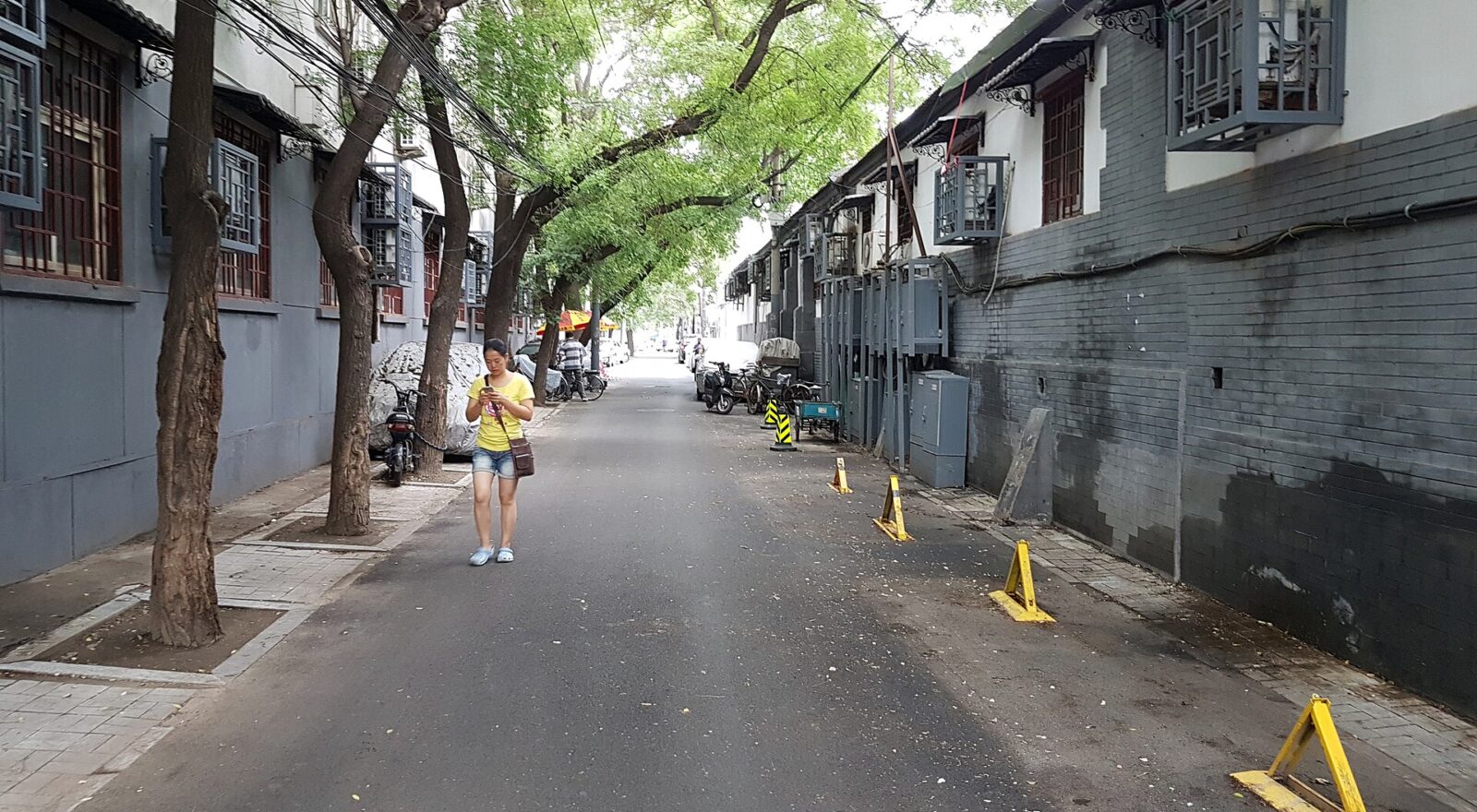A pedestrian walks along Dongchang Hutong in Beijing, between grey-brick courtyard buildings shaded by leafy trees.