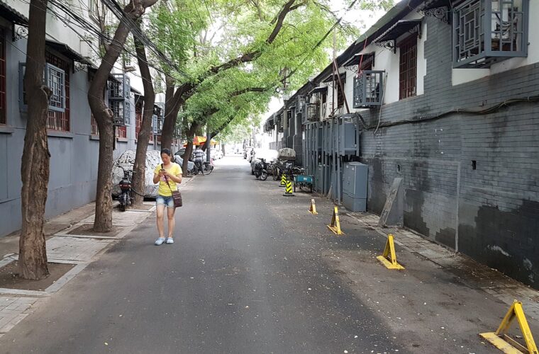 A pedestrian walks along Dongchang Hutong in Beijing, between grey-brick courtyard buildings shaded by leafy trees.