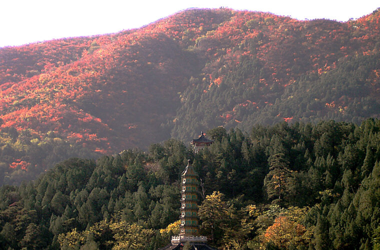 Red and orange autumn foliage covers the hillside above a pagoda and dark evergreen trees at Beijing's Fragrant Hills.
