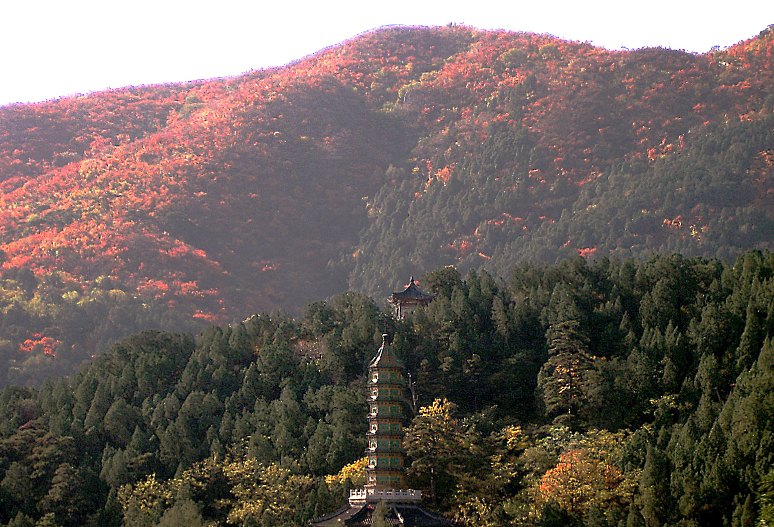 Red and orange autumn foliage covers the hillside above a pagoda and dark evergreen trees at Beijing's Fragrant Hills.