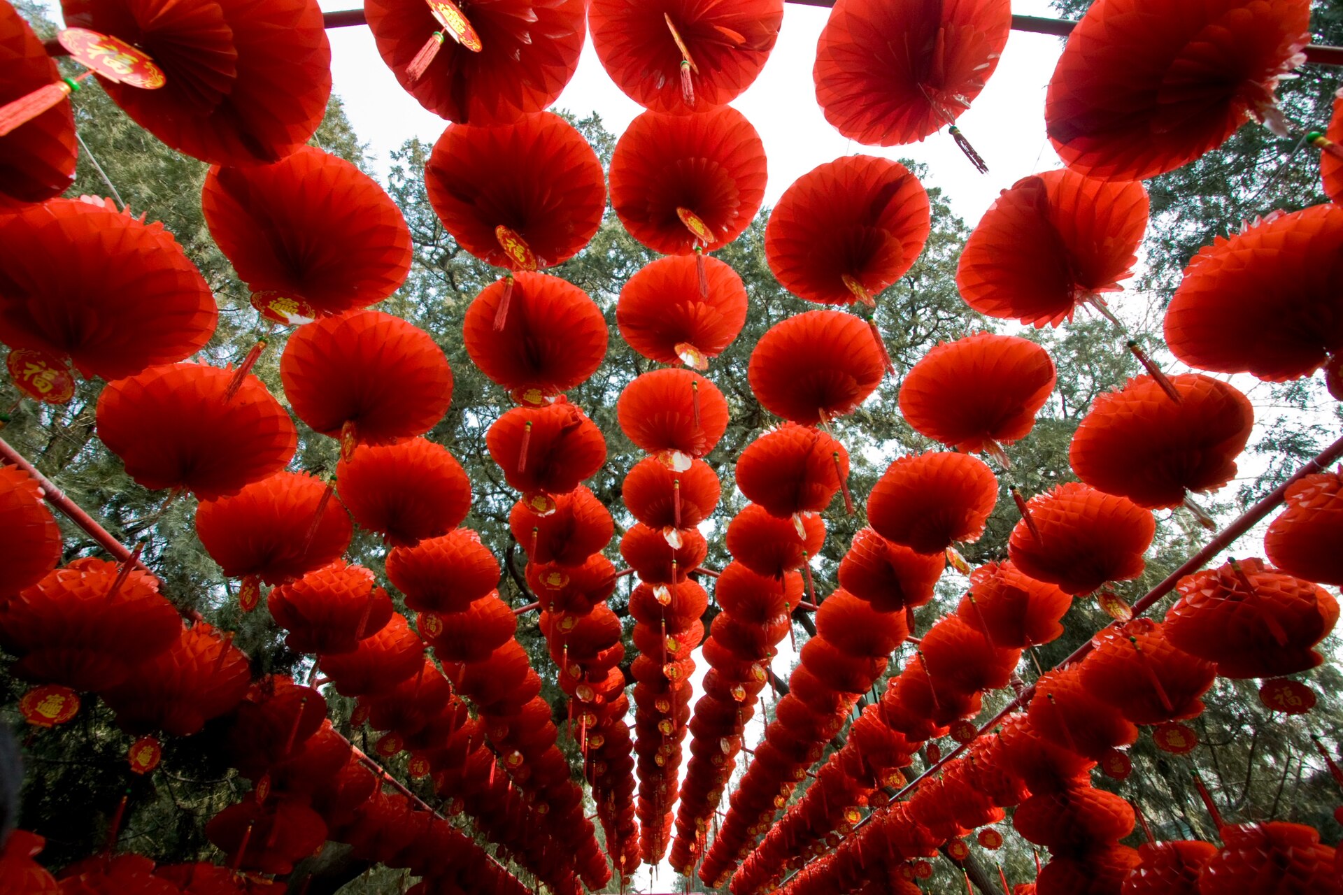 Rows of red lanterns hang overhead among trees at the Temple of Earth in Beijing during Chinese New Year.